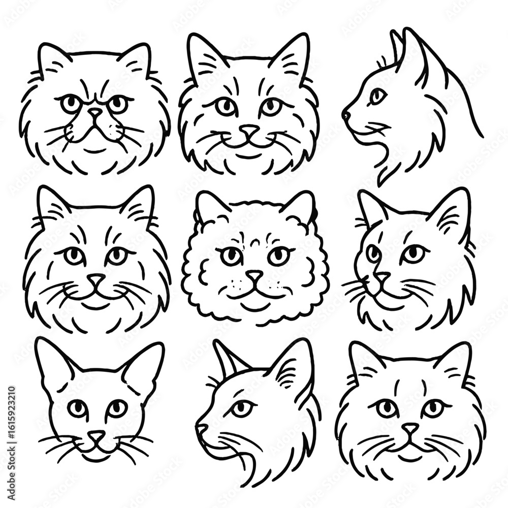 Obraz premium Fluffy Cat Icons. Outline style icons of Fluffy Cat Breeds Heads: Himalayan cat face, Norwegian Forest cat head, Turkish Angora