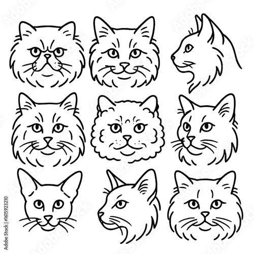 Fluffy Cat Icons. Outline style icons of Fluffy Cat Breeds Heads: Himalayan cat face, Norwegian Forest cat head, Turkish Angora