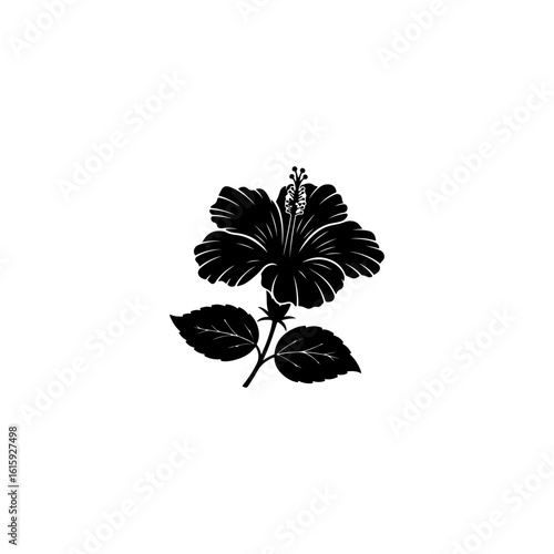 silhouette of a plant