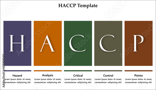 HACCP - Hazard, Analysis, Critical, Control, Points. Infographic template with icons and description placeholder