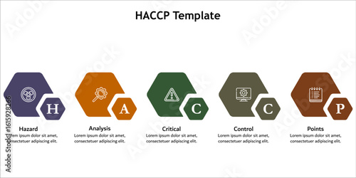 HACCP - Hazard, Analysis, Critical, Control, Points. Infographic template with icons and description placeholder