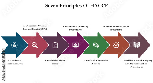 Seven Principles Of HACCP model. Infographic template with icons and description placeholder