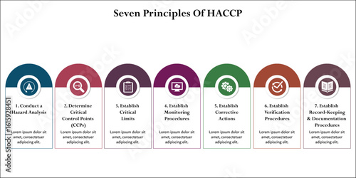 Seven Principles Of HACCP model. Infographic template with icons and description placeholder