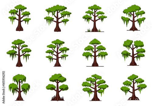Rows of swamp trees with green leaves and dangling moss set against a white background