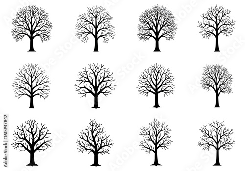 Twelve bare dark trees are arranged in a grid format against a white background