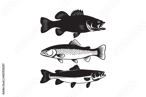 Three distinct fish species silhouette