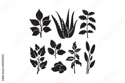 Collection of botanical plant silhouettes