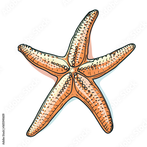 Detailed Illustration of an Orange Starfish with Intricate Patterns