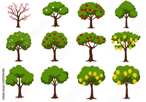 Twelve trees are arranged in a grid apple lemon and generic forms are depicted