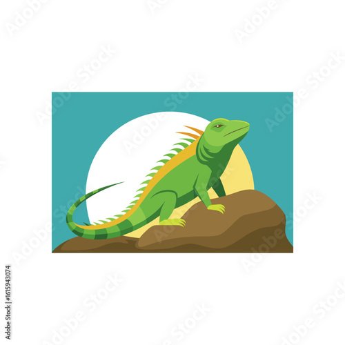 iguana basking on sunlit rock