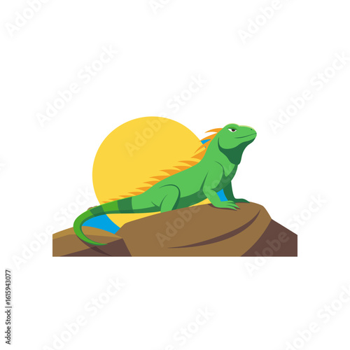 iguana basking on sunlit rock