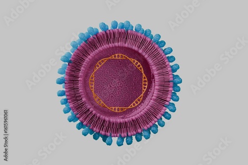 3d rendering, close up view of corona virus which is dangerous flu cases as pandemic.