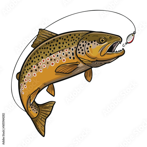 Brown Trout Caught on Fishing Lure
