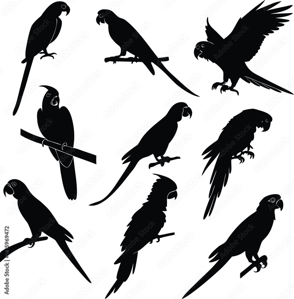 Obraz premium Parrot silhouette bundle set vector with editable white background 