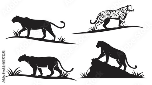 Vector  four silhouettes of leopards and a cheetah in different poses on grass and rock formations design
