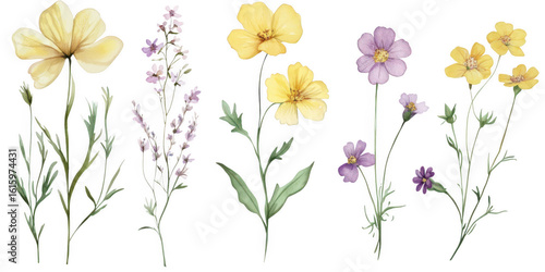 Wallpaper Mural Watercolor floral arrangement design on transparent png background Torontodigital.ca