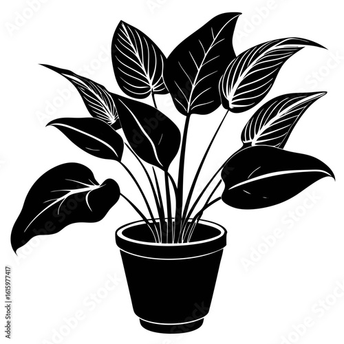 Peace Lily Plant Pot Silhouette