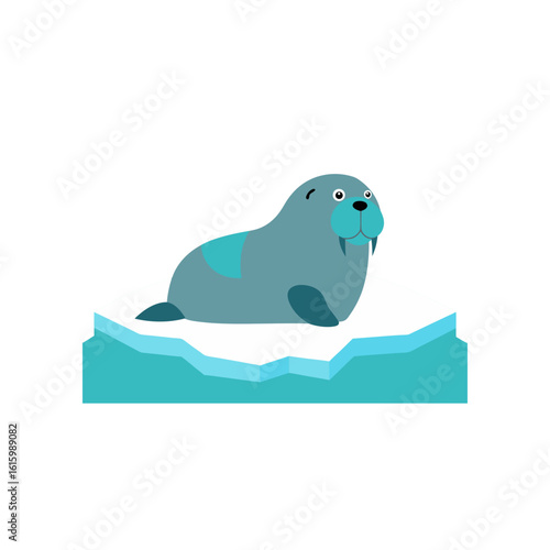 walrus resting on drifting ice floe