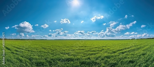 Beautiful natural scenic panorama greenfield White clouds move in the sky in the sunshine