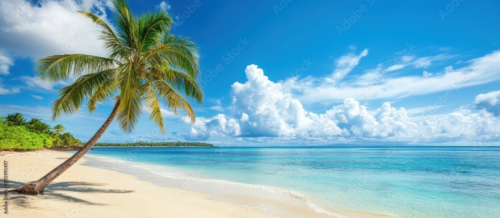 Obraz premium Beautiful Palm Tree on Tropical Island Beach, Perfect natural landscape for a summer vacation destination. Amazing nature wallpaper