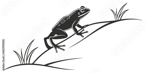 Green frog or toad amphibian on a leaf or branch, isolated on a white background, with macro closeup details of its eye