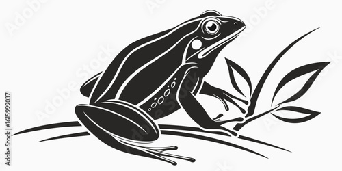 Green frog or brown toad, an amphibian animal, isolated on a white background or sitting on a leaf, captured in a nature macro wildlife closeup