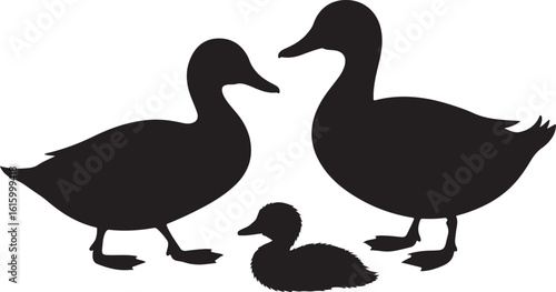 Black silhouettes of ducks and duckling fowl bird