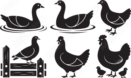 Black silhouettes of farm birds and fowl chickens chicks