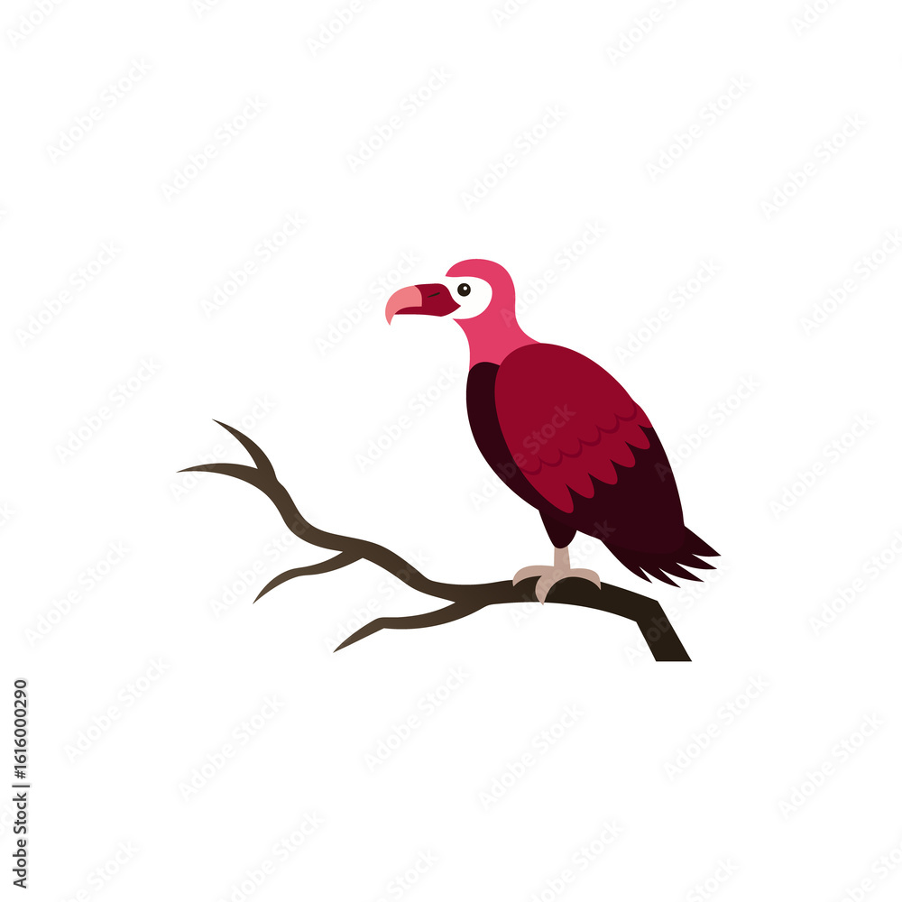 Fototapeta premium vector illustration of a bird