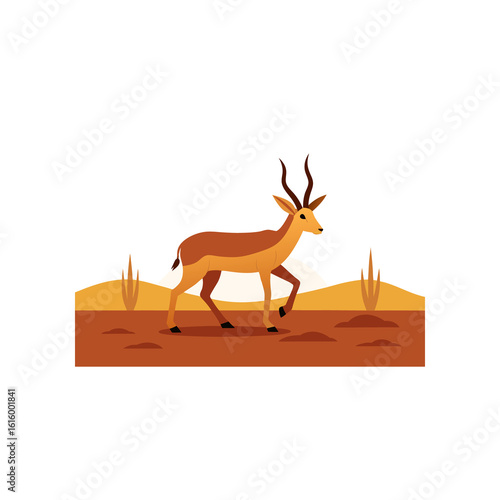deer on a white background