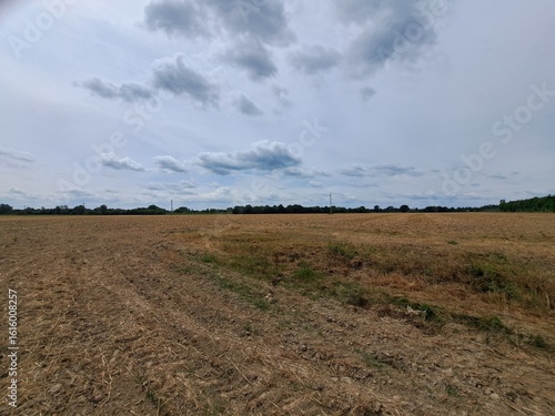 rural landscape with field and clouds