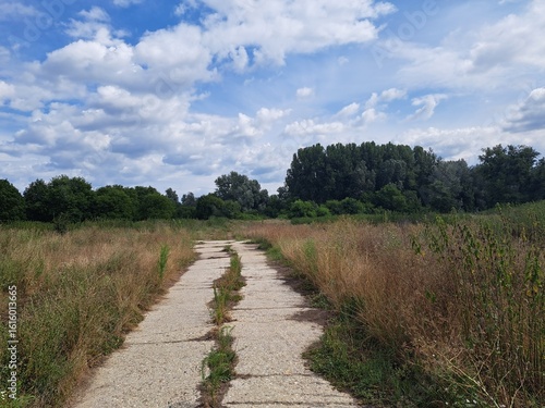 dirt road in the countryside