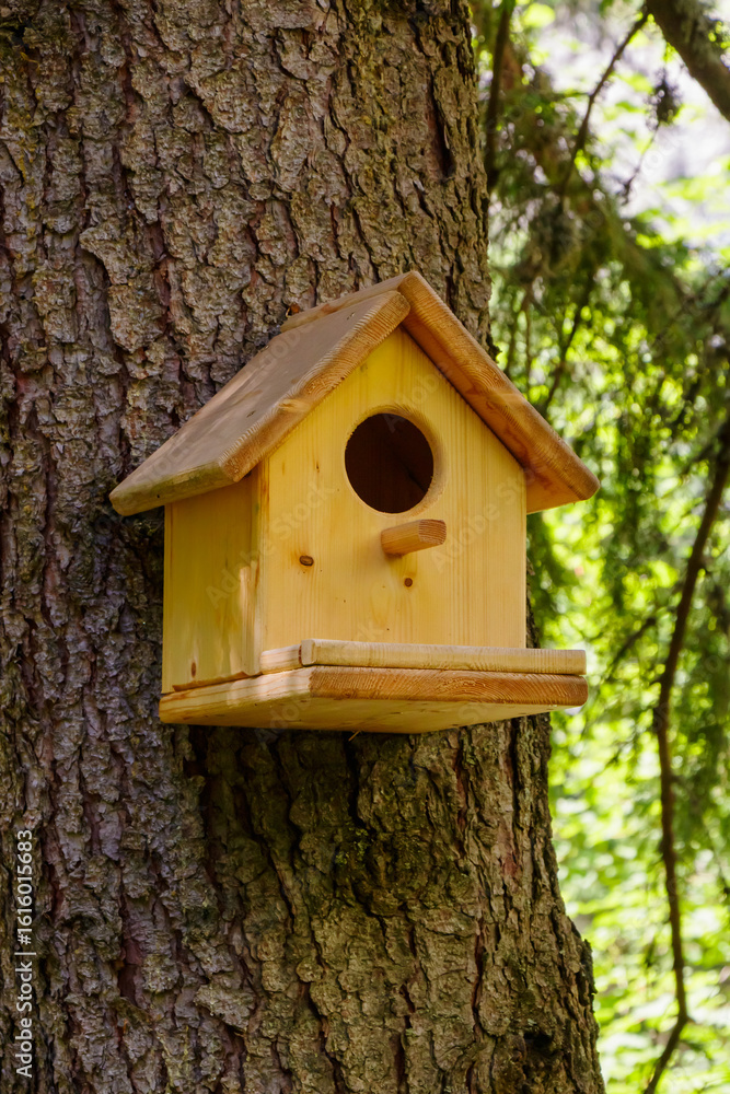 Wooden birdhouse hanging on a tree in a lush forest during daytime Wooden birdhouse hanging on a tree in a lush forest during daytime