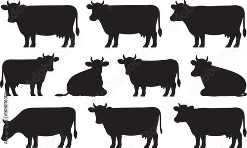 Black cow silhouettes standing and sitting animal farm
