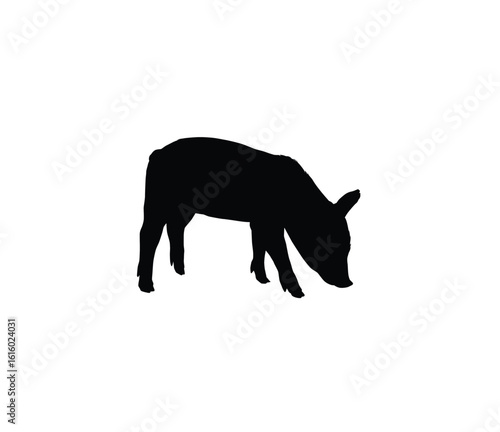 Silhouette of a wild pig foraging in a simple graphic design.