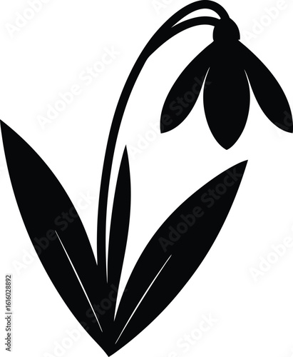 black silhouette a snowdrop full body on white bac.eps