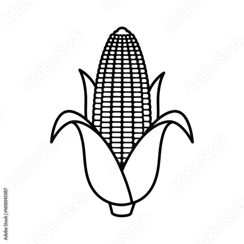 Vector art of a sketch of an ear of corn isolated on white background