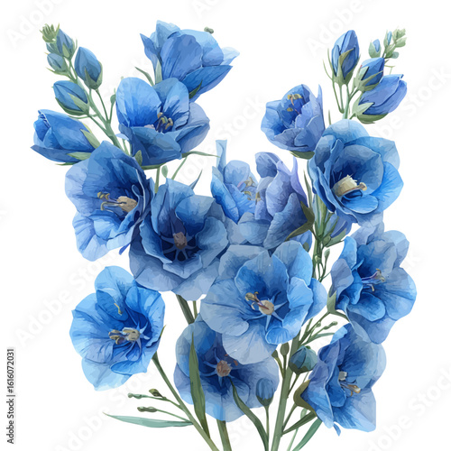 Delphinium Flower, watercolor drawing vector, isolated on a white background.