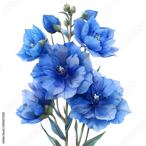 Delphinium Flower, watercolor vector, isolated on a white background.