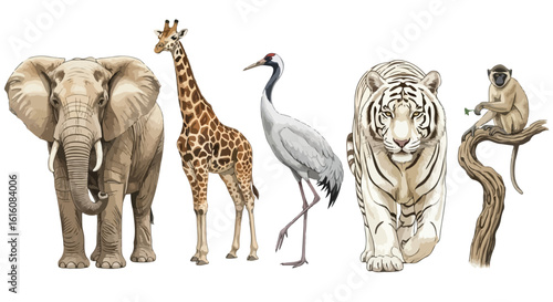 Diverse Wildlife Collection Elephant Giraffe Crane White Tiger and Monkey.