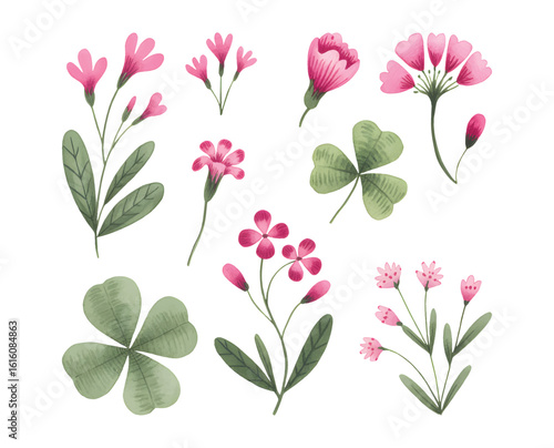 Watercolor pink flower with leaf botanical illustration. botanical spring floral collection.