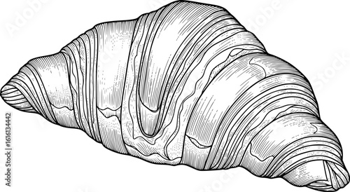 Croissant pastry illustrated with detailed line art design
