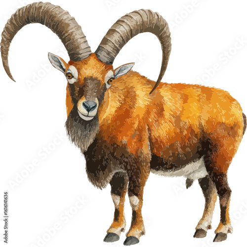 Majestic ibex with large curved horns isolated on transparent background