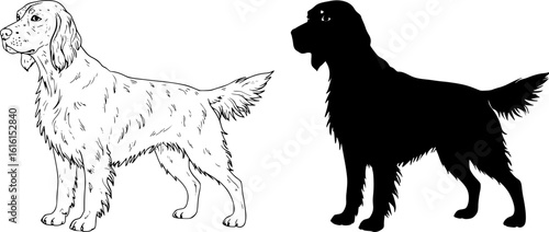 Illustration of two English setter dogs one in outline and one in solid black silhouette style image editable vector isolated on white background 