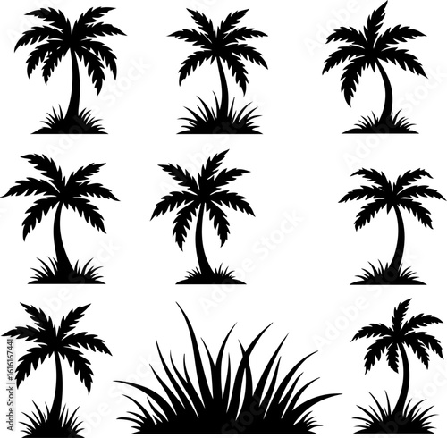 Tropical Palm Tree   Leaf Silhouette Bundle