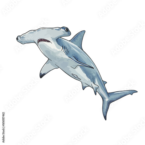 Dynamic Hammerhead Shark Illustration Realistic Marine Life Ocean Predator Drawing Underwater Animal