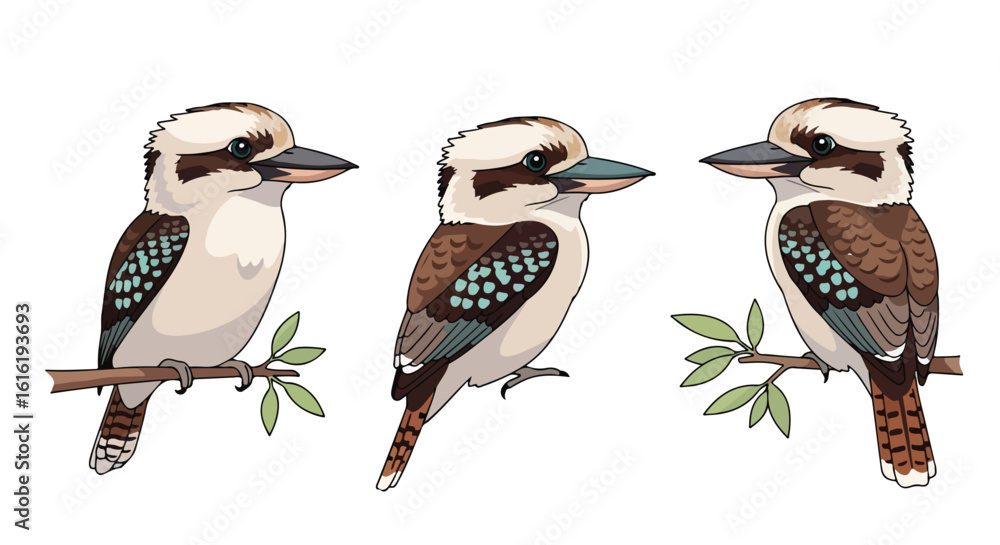 Εκτύπωση καμβά Set of three cartoon kookaburra birds with brown and turquoise plumage perched on leafy branches