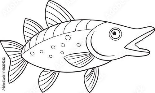 Detailed pike fish line art great for educational coloring books and freshwater species learning materials