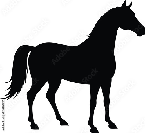 Calm horse silhouette standing with lowered head isolated on white background isolated on transparent background