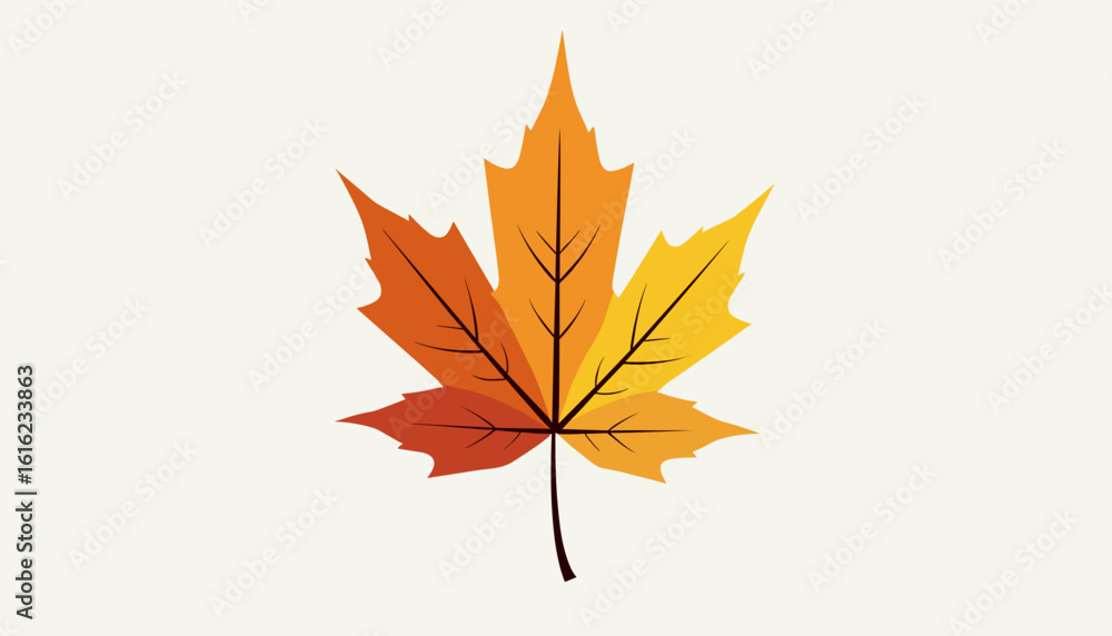 Colorful autumn leaf on a light background Colorful autumn leaf on a light background